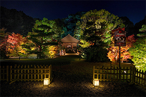 施工事例 画像01